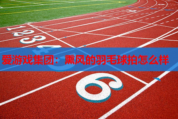 爱游戏集团：熏风的羽毛球拍怎么样