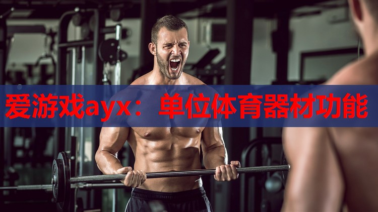 爱游戏ayx：单位体育器材功能