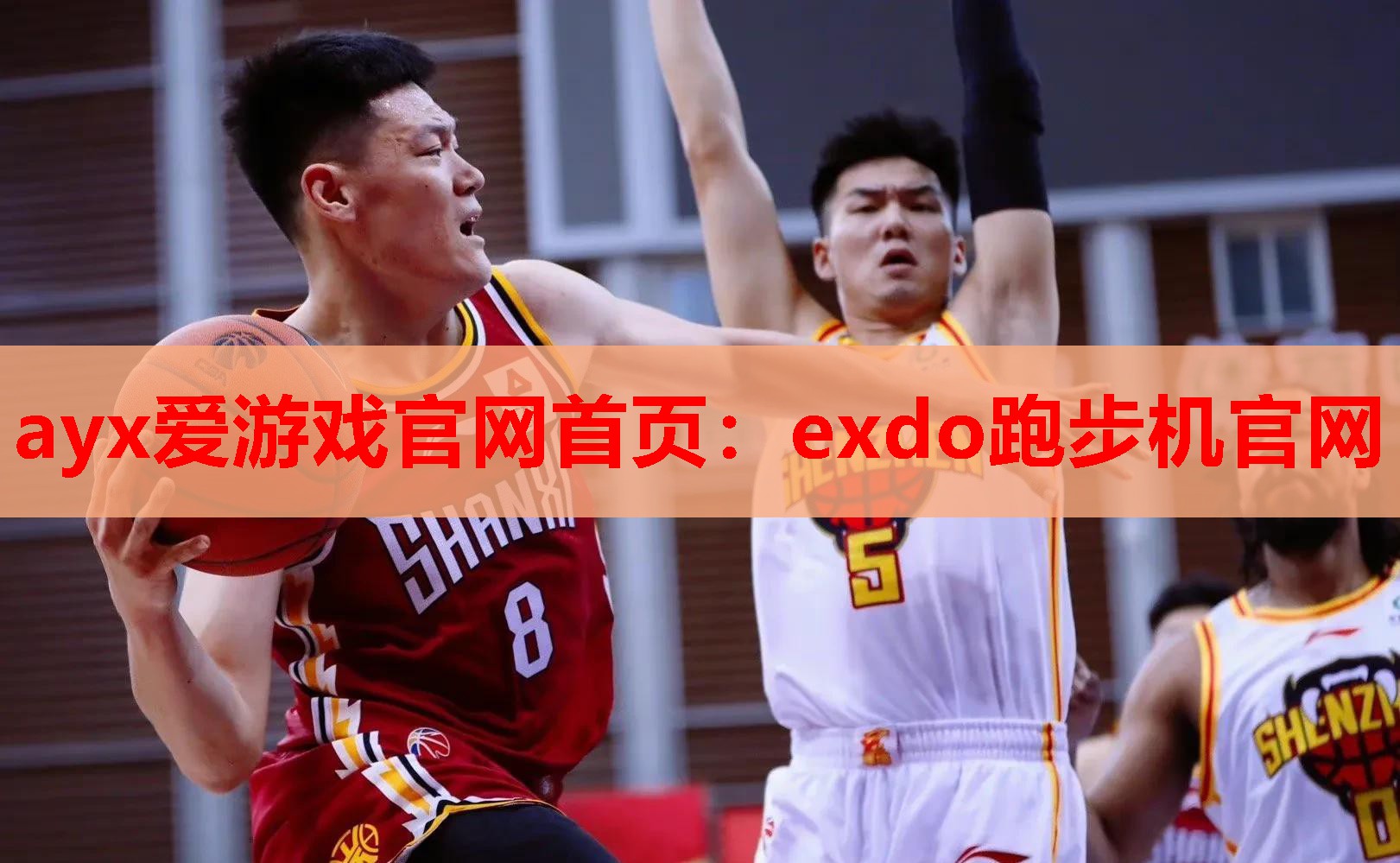 ayx爱游戏官网首页：exdo跑步机官网