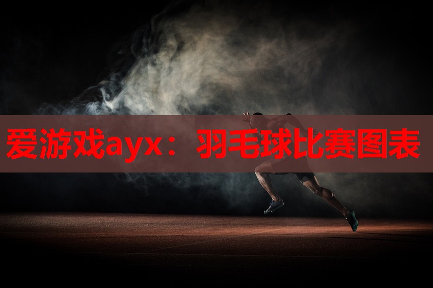 爱游戏ayx：羽毛球比赛图表