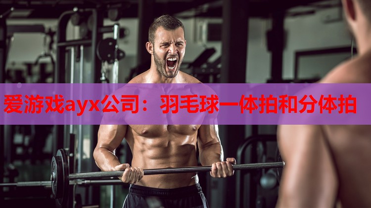 爱游戏ayx公司：羽毛球一体拍和分体拍