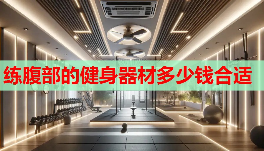 练腹部的健身器材多少钱合适