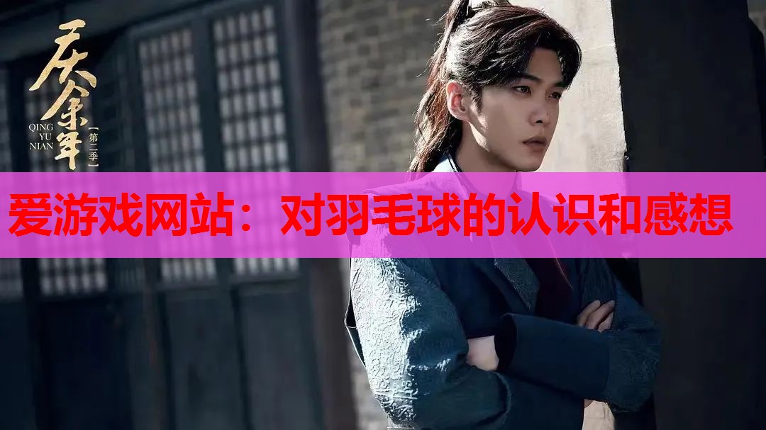 爱游戏网站：对羽毛球的认识和感想
