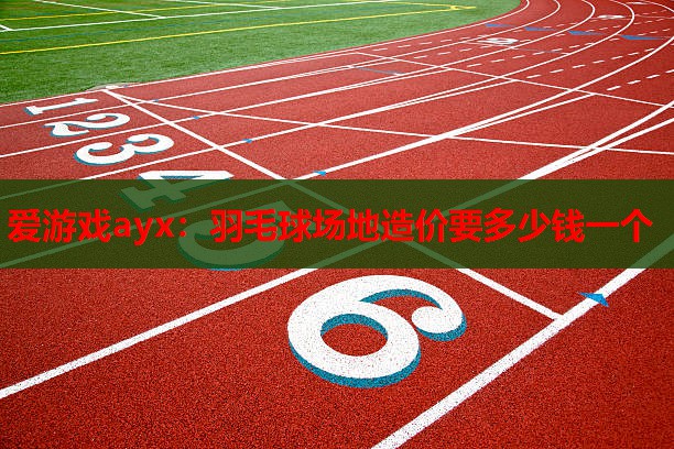 爱游戏ayx：羽毛球场地造价要多少钱一个