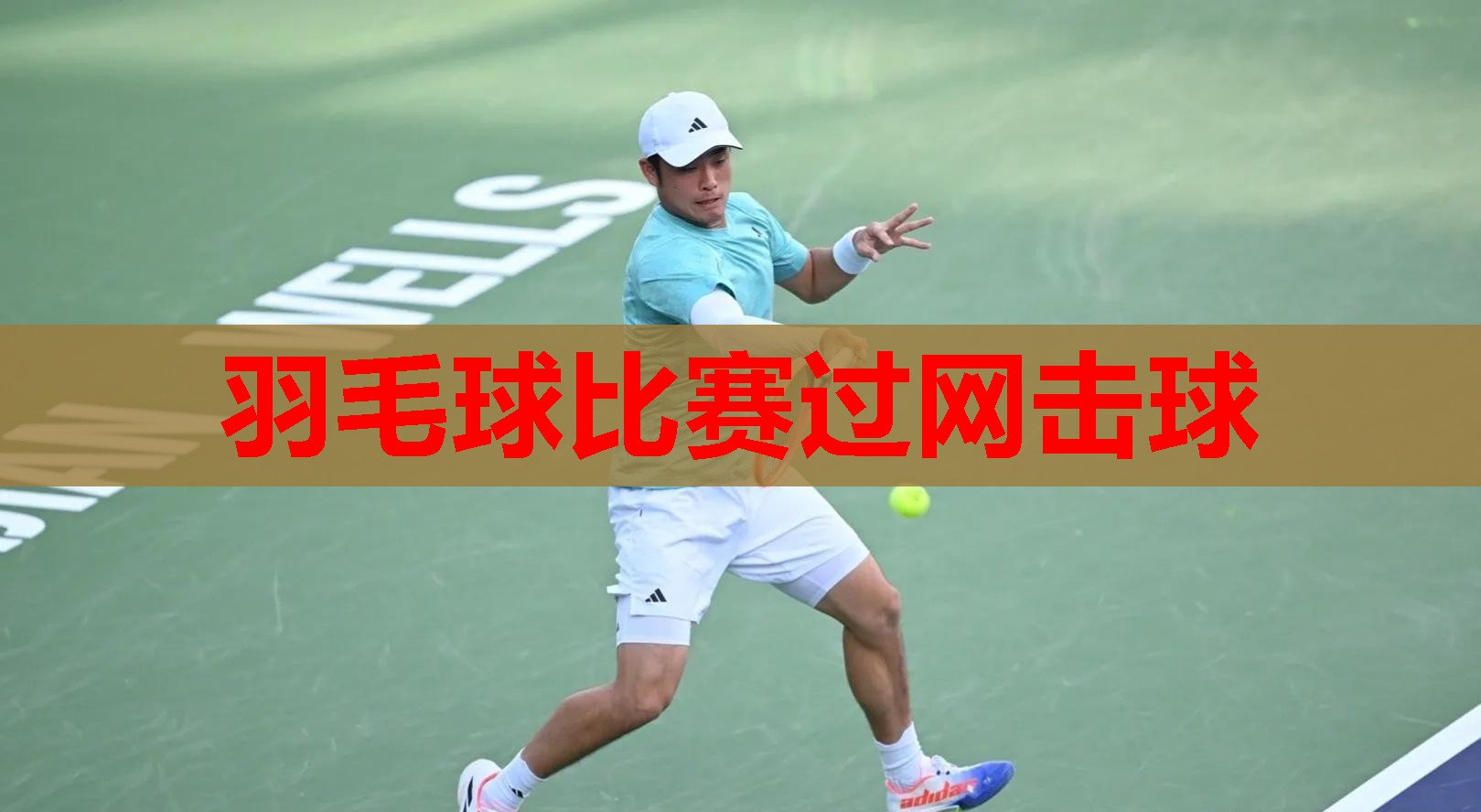羽毛球比赛过网击球