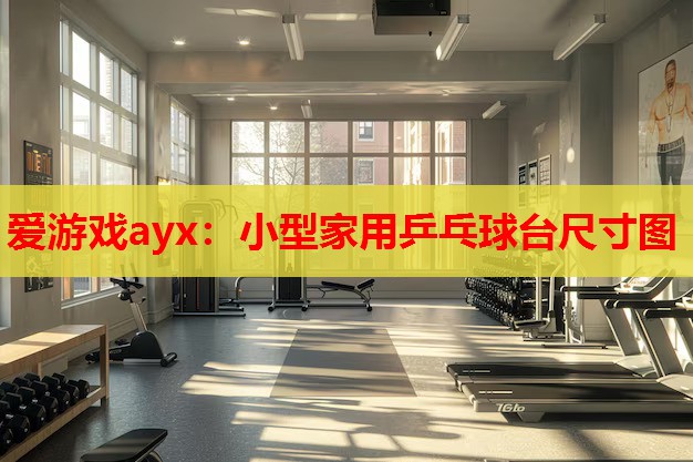 爱游戏ayx：小型家用乒乓球台尺寸图