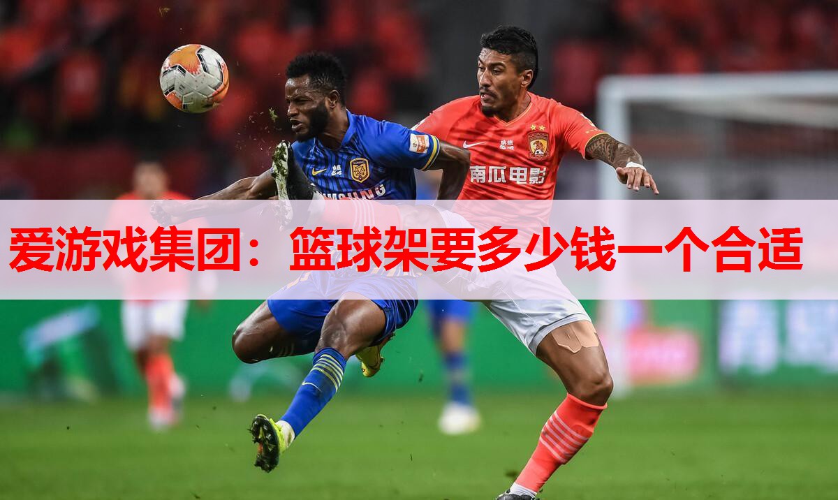 爱游戏集团：篮球架要多少钱一个合适