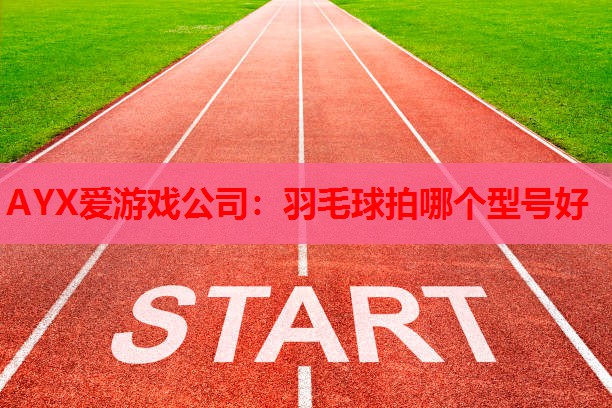 AYX爱游戏公司：羽毛球拍哪个型号好