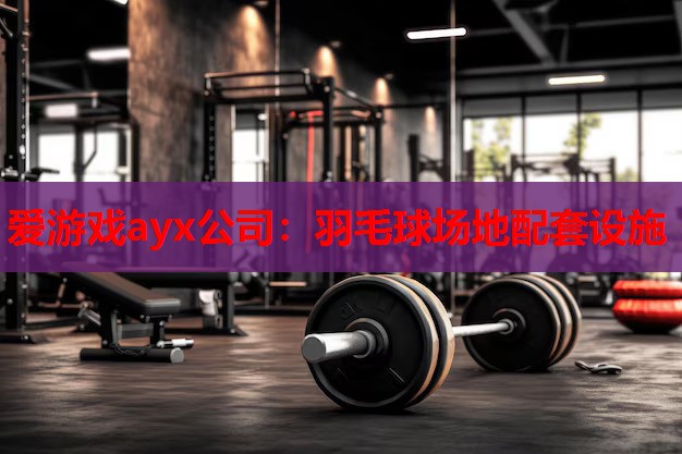 爱游戏ayx公司：羽毛球场地配套设施
