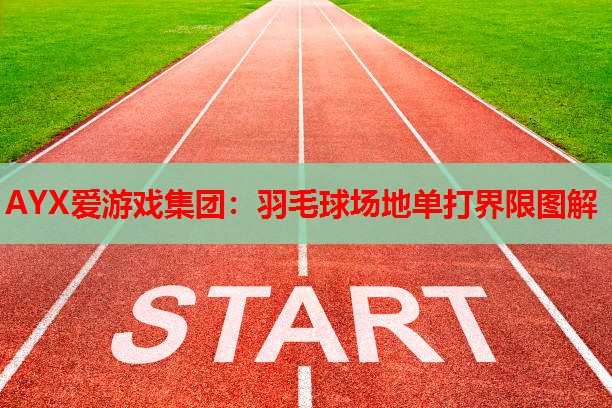 AYX爱游戏集团：羽毛球场地单打界限图解