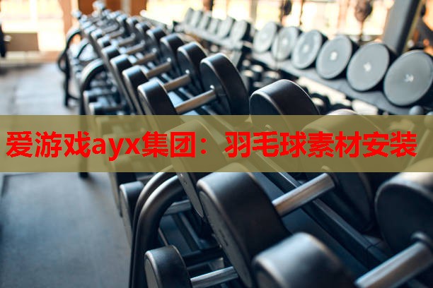 爱游戏ayx集团：羽毛球素材安装