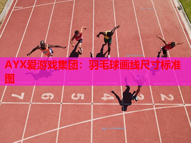 AYX爱游戏集团：羽毛球画线尺寸标准图