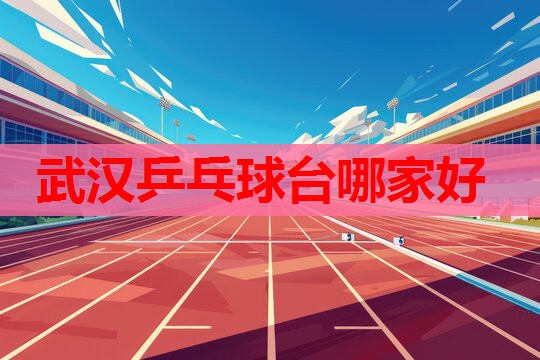 武汉乒乓球台哪家好