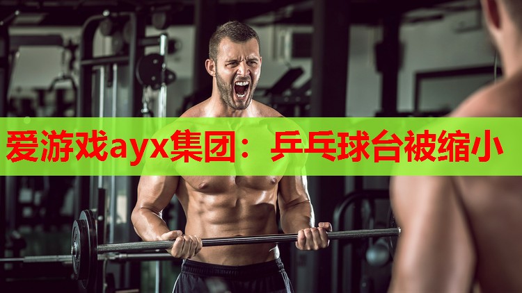 乒乓球台被缩小 乒乓球台被缩小
