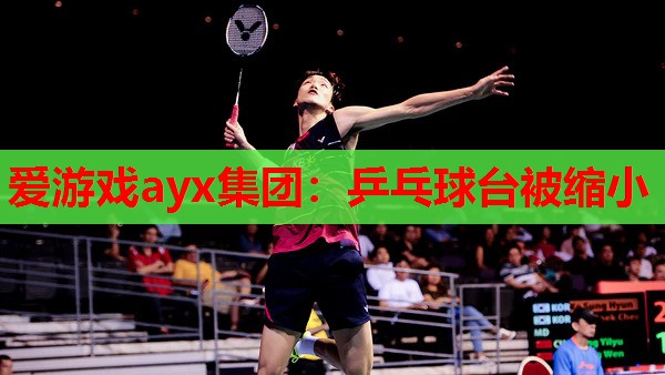 乒乓球台被缩小 乒乓球台被缩小