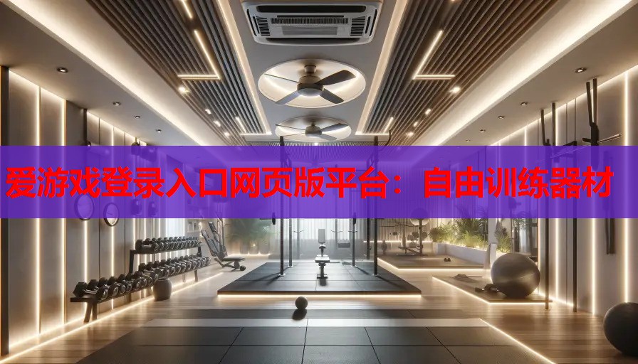 自由训练器材 自由训练器材
