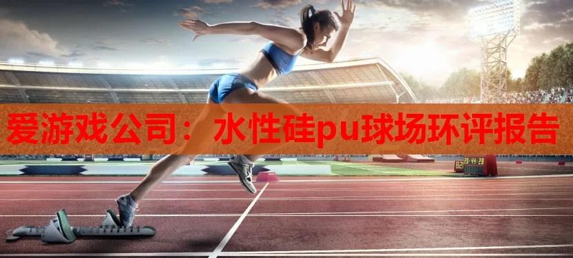 水性硅pu球场环评报告 水性硅pu球场环评报告