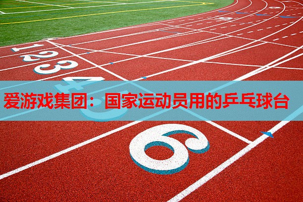 国家运动员用的乒乓球台 国家运动员用的乒乓球台