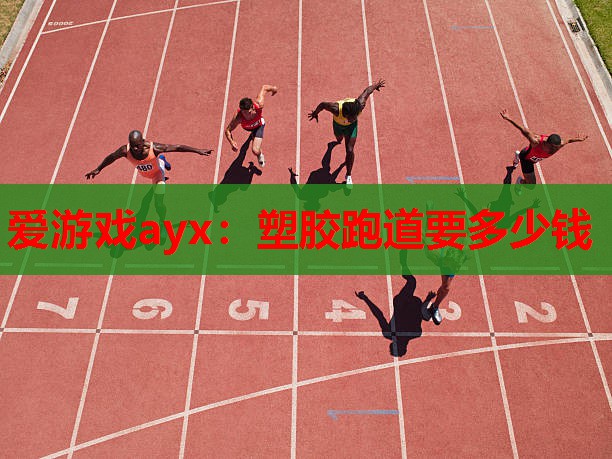 塑胶跑道要多少钱 塑胶跑道要多少钱