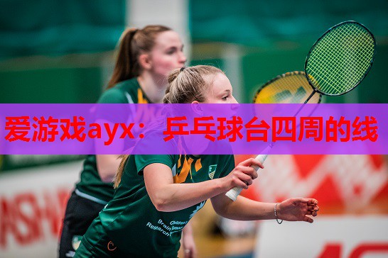 乒乓球台四周的线 乒乓球台四周的线