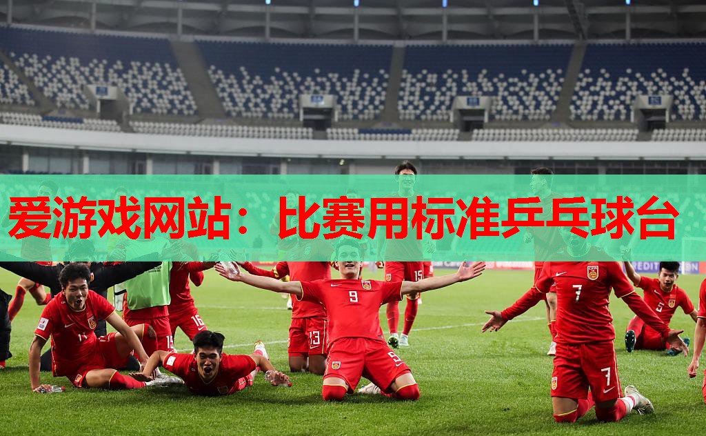 比赛用标准乒乓球台 比赛用标准乒乓球台