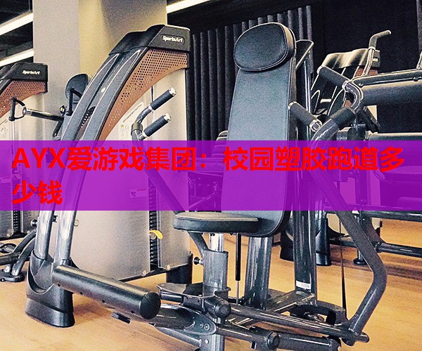 校园塑胶跑道多少钱 校园塑胶跑道多少钱