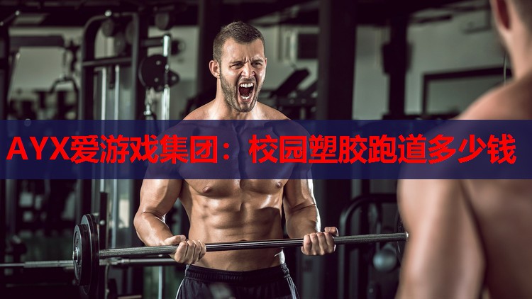 校园塑胶跑道多少钱 校园塑胶跑道多少钱