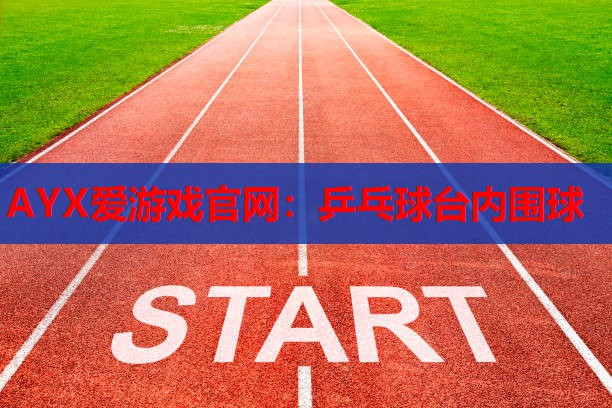 乒乓球台内围球 乒乓球台内围球