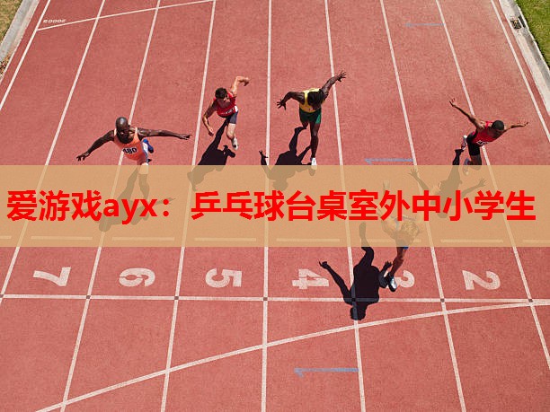 乒乓球台桌室外中小学生 乒乓球台桌室外中小学生