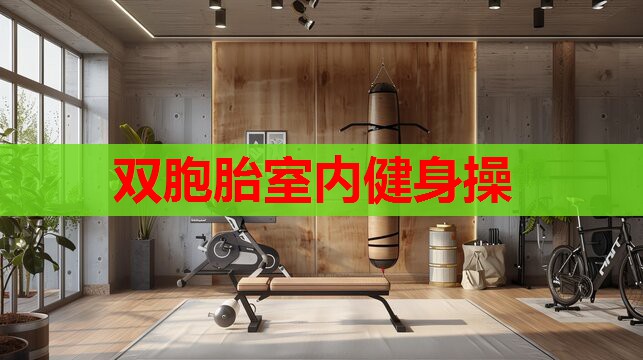 双胞胎室内健身操 双胞胎室内健身操