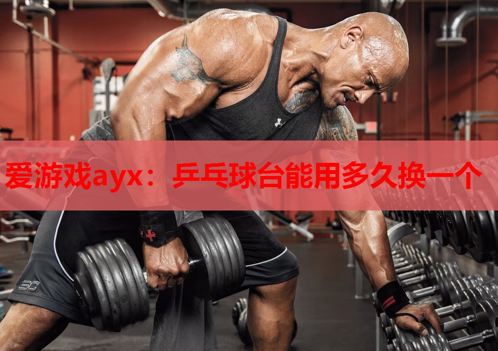乒乓球台能用多久换一个 乒乓球台能用多久换一个