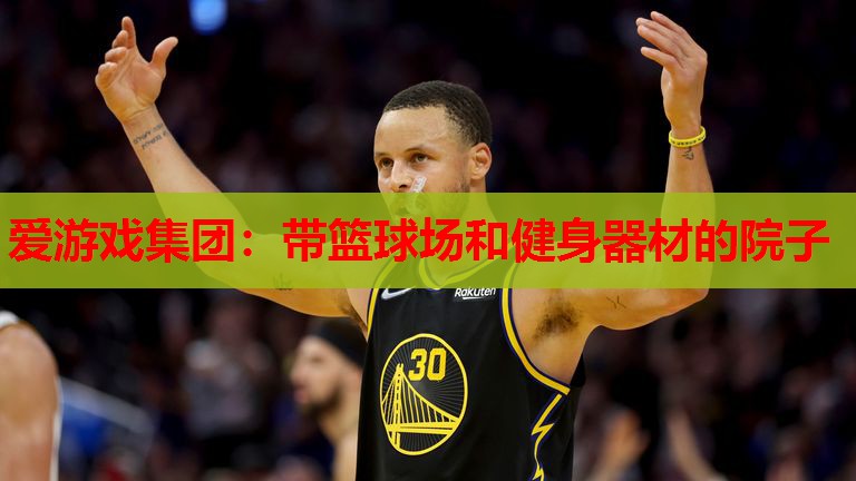 带篮球场和健身器材的院子 带篮球场和健身器材的院子