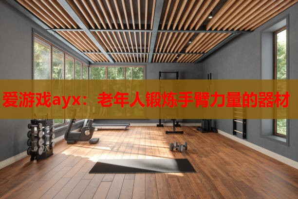 老年人锻炼手臂力量的器材 老年人锻炼手臂力量的器材