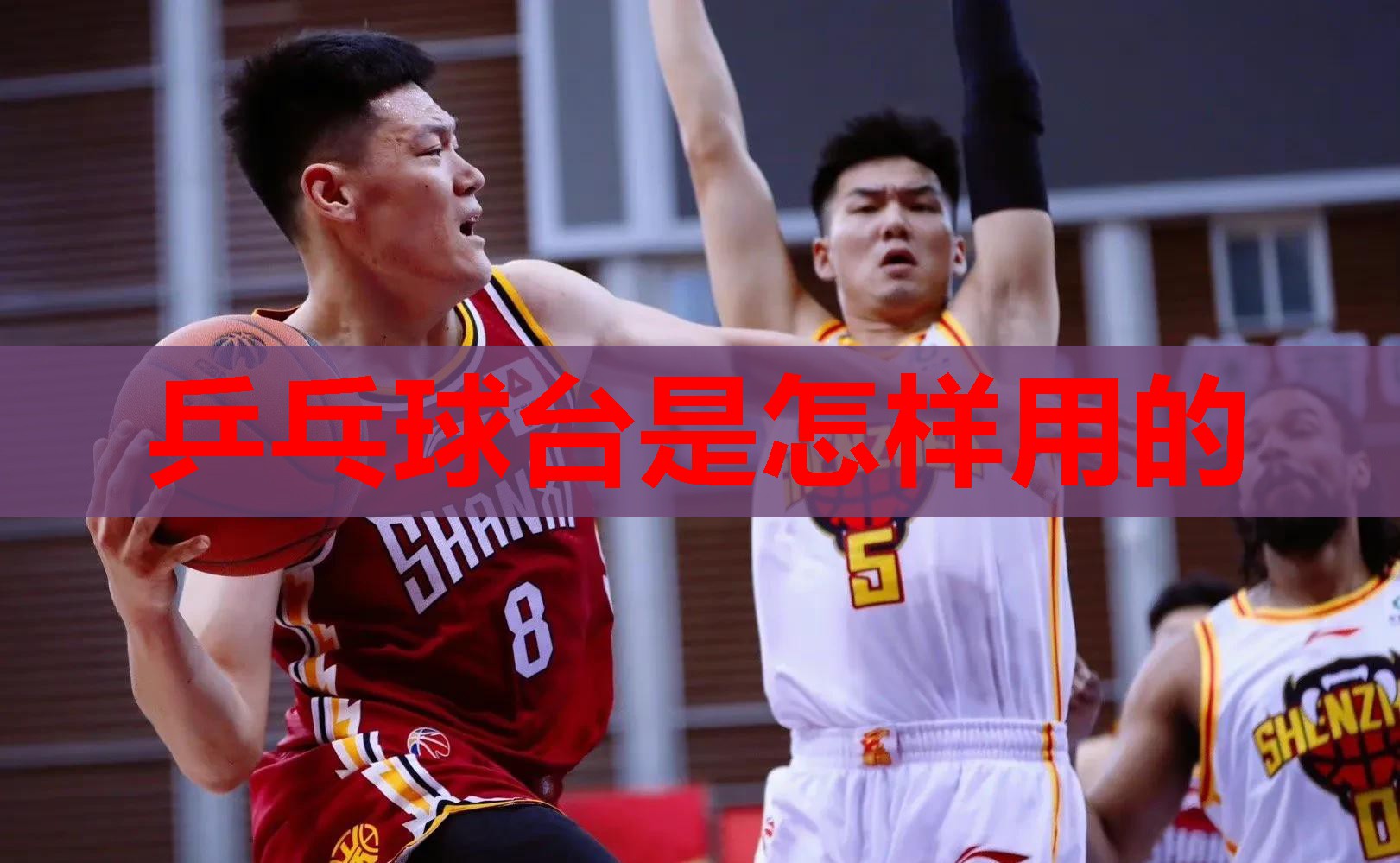 乒乓球台是怎样用的 乒乓球台是怎样用的