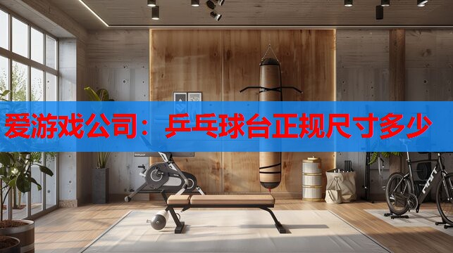 乒乓球台正规尺寸多少 乒乓球台正规尺寸多少