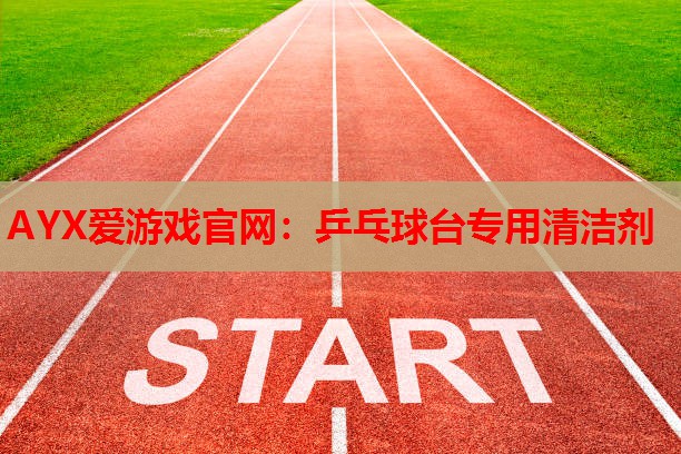 乒乓球台专用清洁剂 乒乓球台专用清洁剂