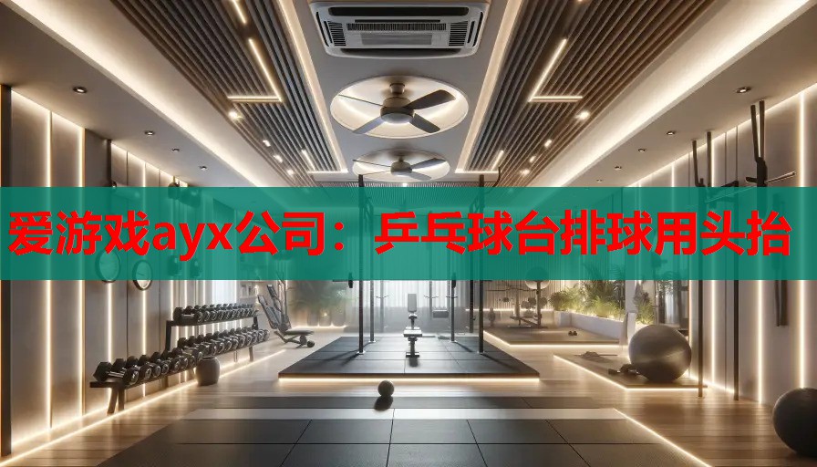 乒乓球台排球用头抬 乒乓球台排球用头抬