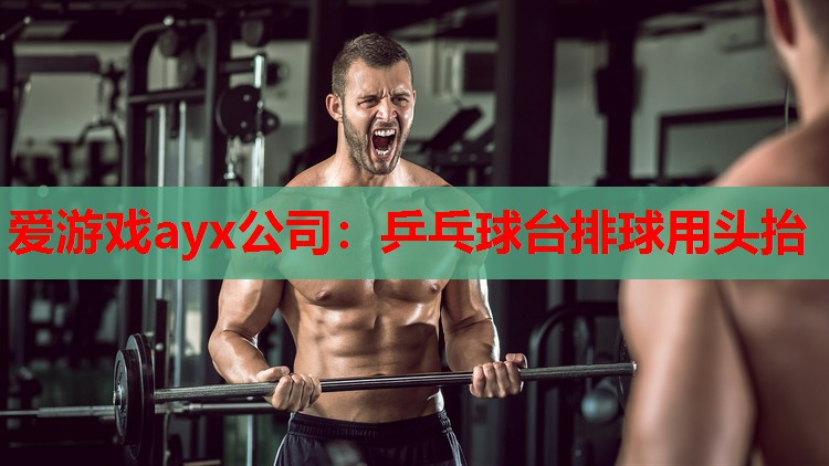 乒乓球台排球用头抬 乒乓球台排球用头抬