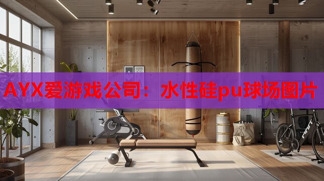 水性硅pu球场图片 水性硅pu球场图片