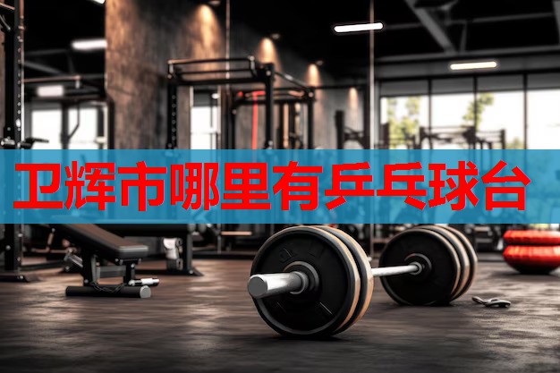 卫辉市哪里有乒乓球台 卫辉市哪里有乒乓球台