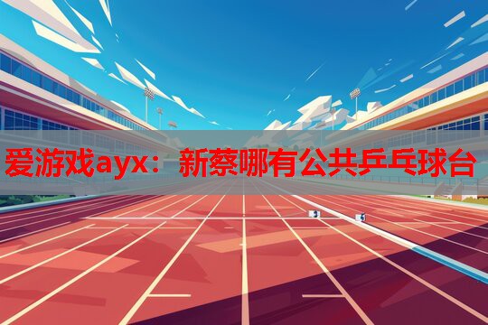 新蔡哪有公共乒乓球台 新蔡哪有公共乒乓球台