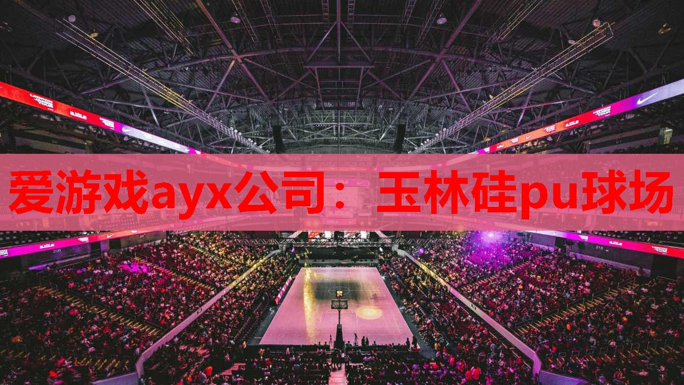 玉林硅pu球场 玉林硅pu球场