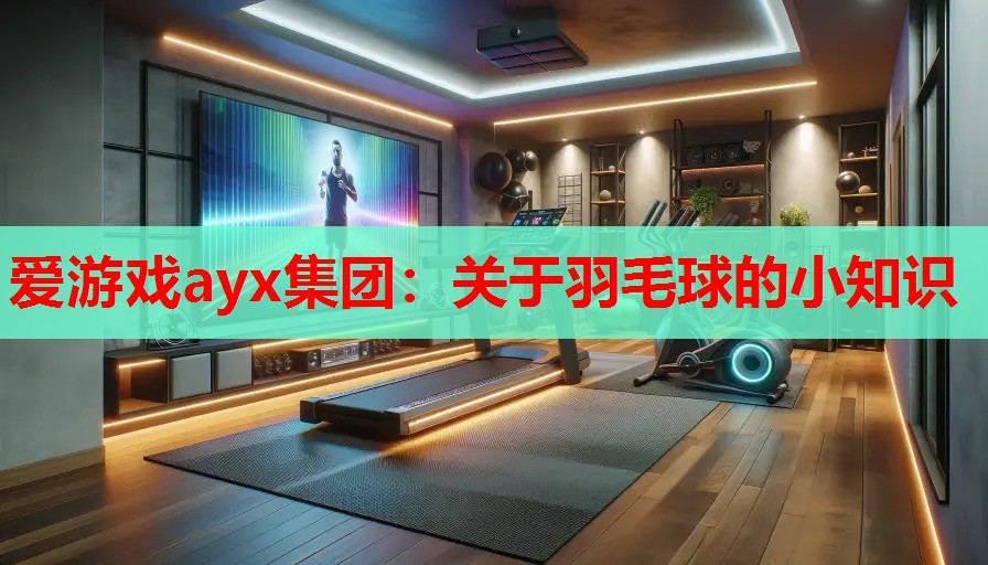 关于羽毛球的小知识 关于羽毛球的小知识