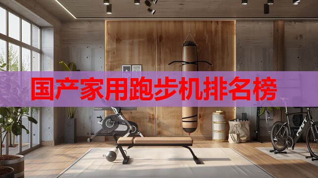 国产家用跑步机排名榜 国产家用跑步机排名榜