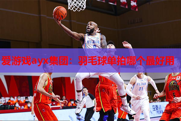 羽毛球单拍哪个最好用 羽毛球单拍哪个最好用