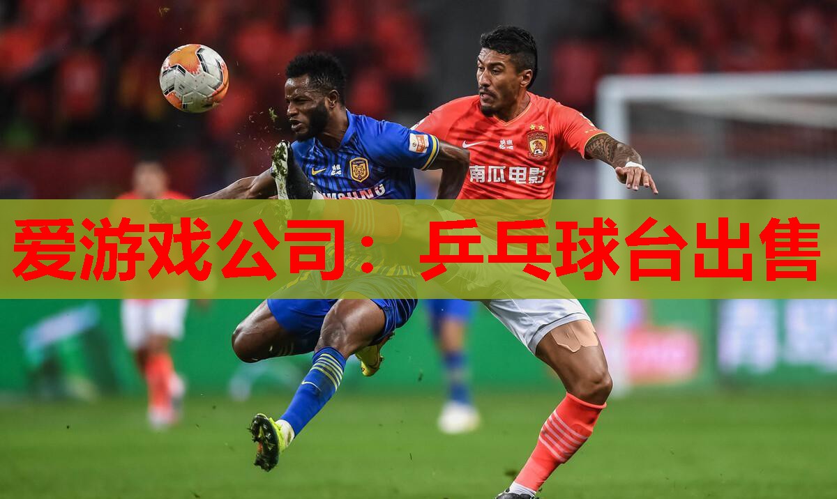 乒乓球台出售 乒乓球台出售