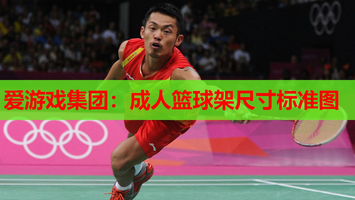 成人篮球架尺寸标准图 成人篮球架尺寸标准图