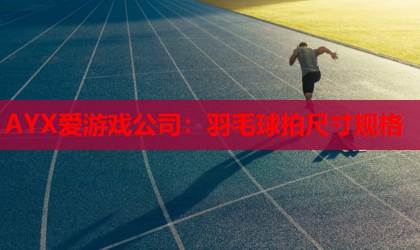 羽毛球拍尺寸规格 羽毛球拍尺寸规格