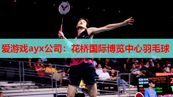 花桥国际博览中心羽毛球 花桥国际博览中心羽毛球