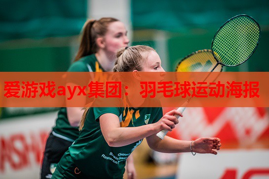羽毛球运动海报 羽毛球运动海报